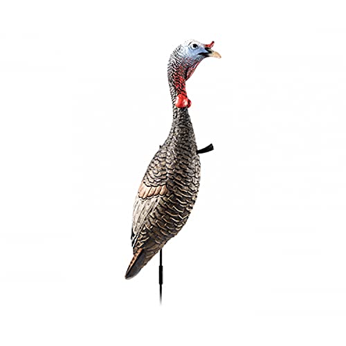Flextone Hunting Lightweight Ultra Realistic Lifelike One Piece Outdoor Submissive Funky Chicken Turkey Decoy