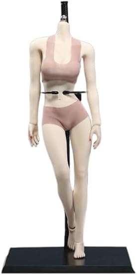 1/6 Scale Female Body, 12inch Super Flexible European Body Shape Undetachable Foot Action Figure Seamless Middle Bust Figure Body Collectble Doll No Head (New Pale Skin)
