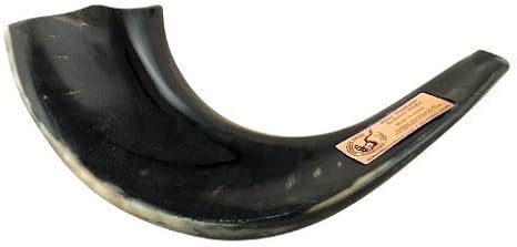 Kosher Black Rams Horn Polished Shofar by Peer Hastam 11"-12"