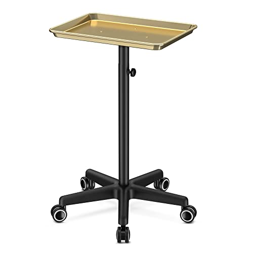 Salon Tray Tattoo Tray Salon Cart for Hair Stylist Salon Trolley Cart with Wheels Salon Rolling Tray Salon Stations Gold Color Tray