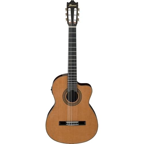 Ibanez 6 String Classical Guitar, Right, Natural GA6CE