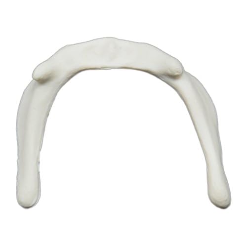 Hyoid Bone Model - Anatomically Accurate Human Bone Replica - hBARSCI