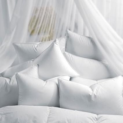 Digital Decor 100% Down-Like Microdenier Gel-Fiber Sleeping Pillows, Set of 2