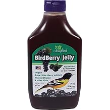 Songbird Essentials 20 Ounce BirdBerry Jelly Squeeze Bottle Bird Feeder Jelly, Grape and Blackberry Jelly Made Just for Birds [Case Pack of 12]