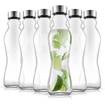 JoyJolt Spring Glass Water Bottles Set of 6-18 oz Glass Bottles with Stainless Steel Caps - Glass Drinking Bottles with Leakproof Lids - Reusable Glass Juice Bottle - Container Bottle Set