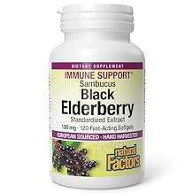 Natural Factors Sambucus Black Elderberry Standardized Extract - Supports Immune System & Respiratory Health - ElderCraft European Black Elderberry - Hand-Harvested - 120 Softgels (120 Servings)