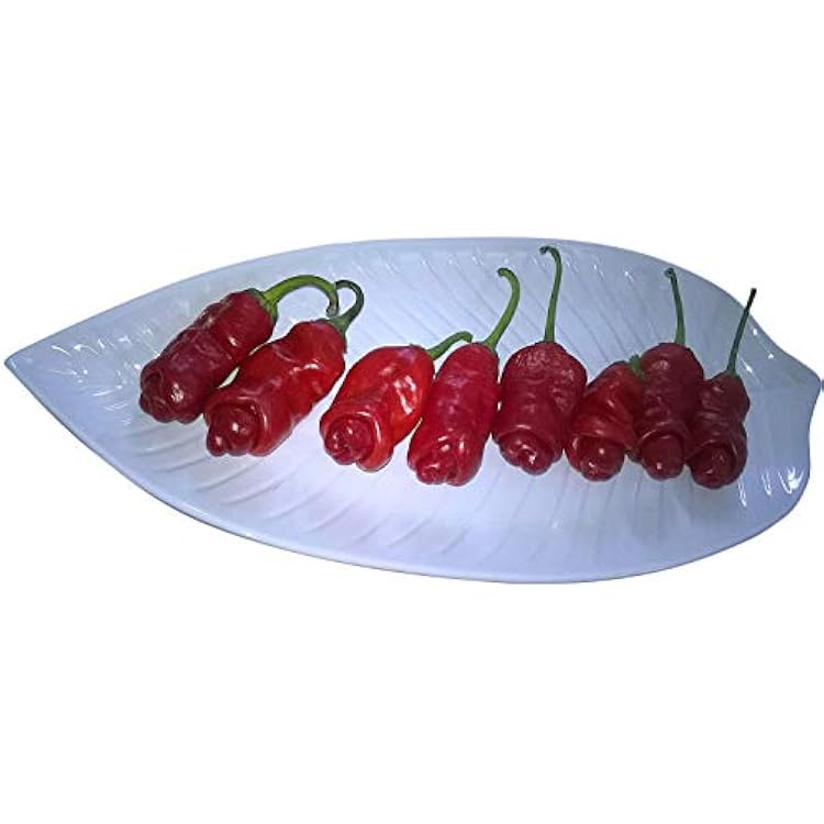 Peter Pepper Red Hot Pepper 10 Seeds
