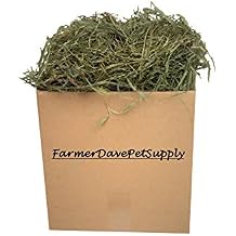 3 Lb Second Cut Timothy Hay, Bunny, Guinea Pig and Chinchilla Hay