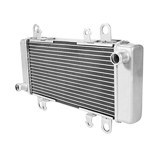 SLMOTO Motorcycle Aluminum Radiator Cooler Cooling Fit for KAWASAKI NINJA 300 EX300 2013-2018 Chrome