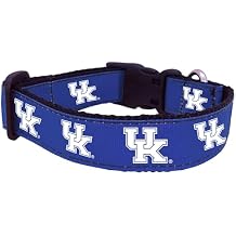 NCAA Kentucky Wildcats Dog Collar (Team Color, Medium)
