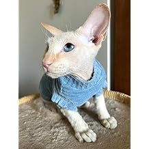 Cat's T-Shirt Corduroy for Sphynx and Naked Cats, cat Onsie, cat Body Suit, cat Suit, cat Clothing, cat Coat, Kitten Baby Grow (Small, Blue)