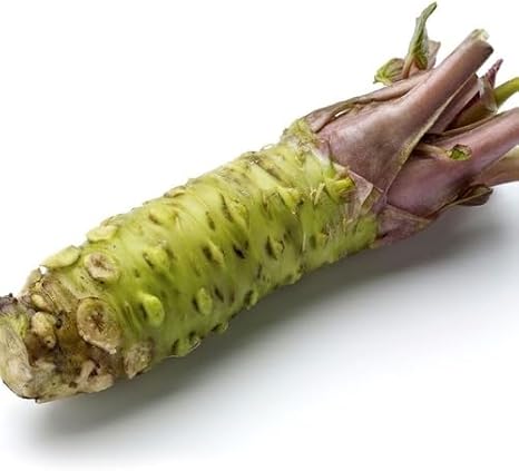100pcs Green Wasabi Vegetable Seeds