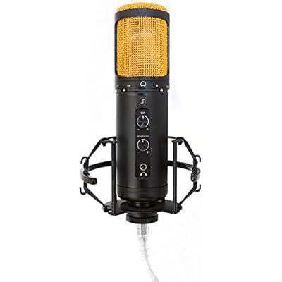 Editors Keys USB SL600 Microphone for Professional Studio Quality Audio for Sound Recording, Includes Shock Mount, Cable & Padded Storage Case