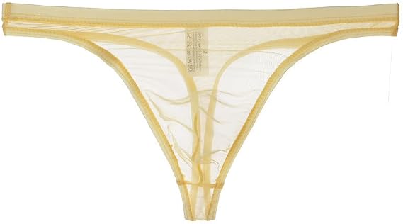 Men's Mesh Sheer G-String Lingerie Panties Low Rise Breathable Briefs See Through U-Shaped Raised T-Back Thongs