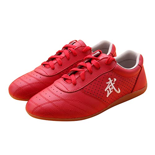 Chinese Wushu Shoes taolu Kungfu Martial Shoes Taichi Shoes for Men Women Fashion Sneakers