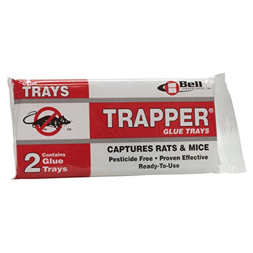 Trapper Rat Glue Boards Traps Rat-2 Boards Bell-1046