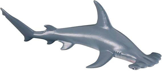 CollectA Scalloped Hammerhead Shark