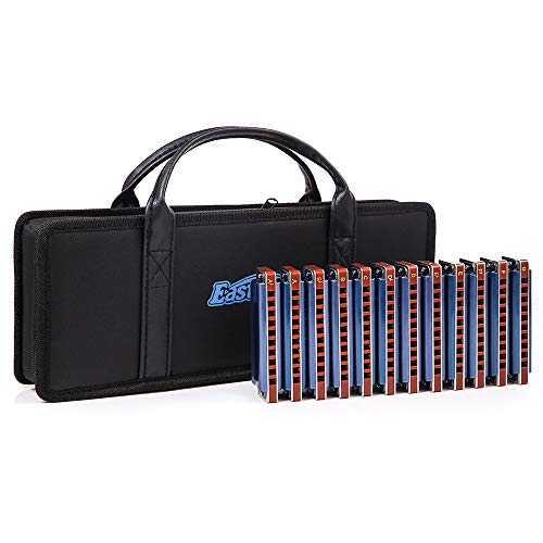 Diatonic Blues Harmonica 10-Hole Harmonica Set T008K 12 Keys Harmonica for Adults, Beginners, Students,Performers, Harmonica with Box blue