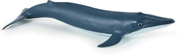 Papo - Realistic Baby Blue Whale Figure - Ages 3+ Marine Life Collection - Educational Play Young Marine Mammals - Gift Idea Toy for Girls and Boys