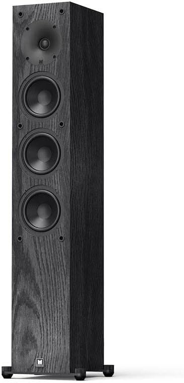 Monolith T4 Tower Speaker - Powerful Woofers, Punchy Bass, High Performance Audio, for Home Theater System - Audition Series