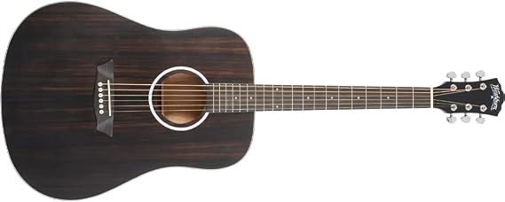 Washburn Deep Forest Ebony D (DFED) | Striped ebony top; Okoume back and sides; Dreadnought body; Modern neck profile