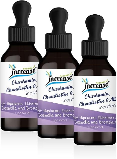 Take 3 Number 2 Action Liposomal Glucosamine Chondroitin &amp; MSM Drops High Dose - 1525mg per Day (137250mg in 3 Bottles) with Hyaluron Elderberry Boswellia (Frankincense) and Bromelain - MCT Oil