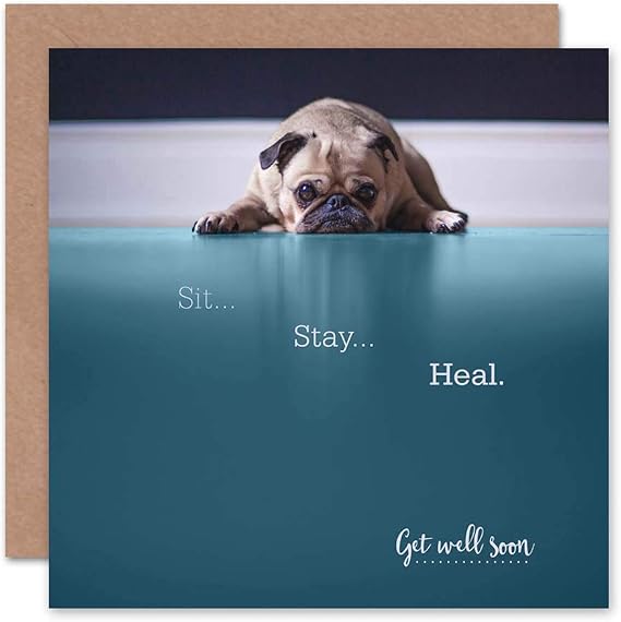 Wee Blue Coo Get Well Sit Stay Heal Cute Dog Sealed Greeting Card Plus Envelope Blank inside