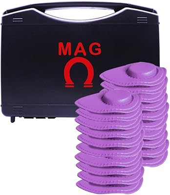 Kit 20 Magnets  25x6mm  1800 gauss  Biomagnetism  MAG  Purple