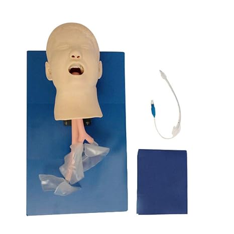 Intubation, Intubation Manikin Study PVC Model Alarm Machine Demonstration Training Airway Teaching Model(Children)