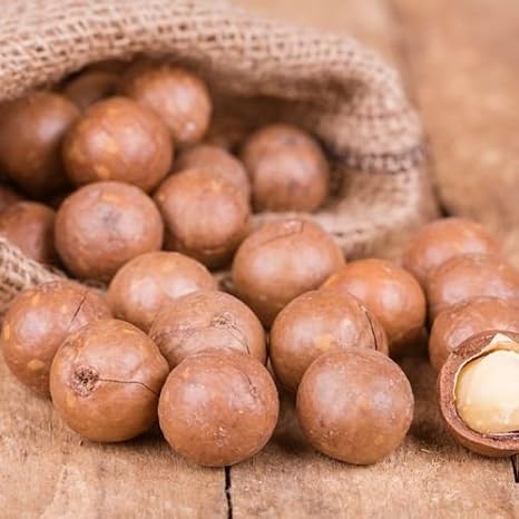 Premium Jumbo Macadamia Nuts - In shell (whole)
