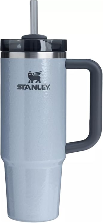 STANLEY Quencher H2.0 Tumbler with Handle and Straw 30 oz | Flowstate 3-Position Lid | Cup Holder Compatible for Travel | Insulated Stainless Steel Cup | BPA-Free | Hammered Silver