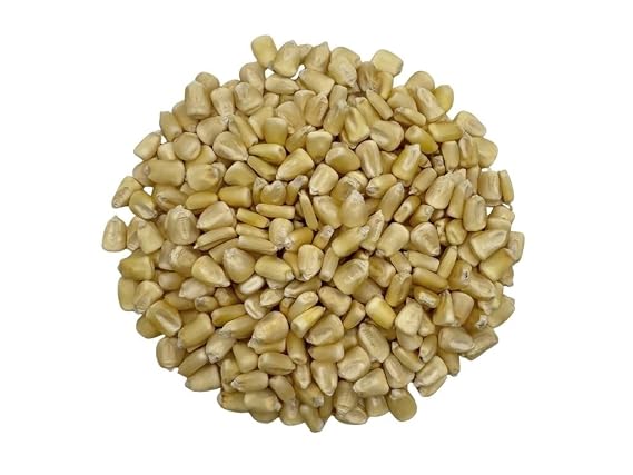 White Corn (Maiz Blanco) Dried Whole Kernels Product of Sinaloa, Mexico | 2.5lb.
