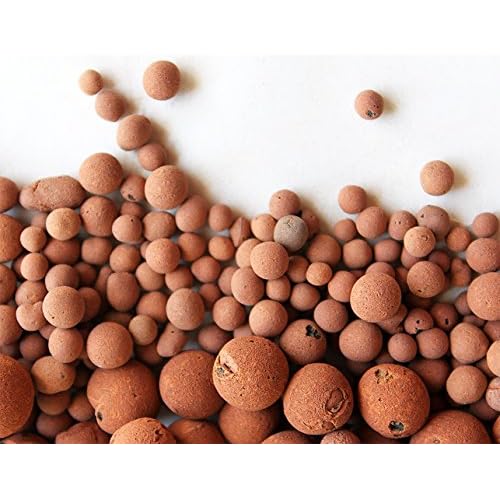 Hydro Clay Pebbles Leca OrchidHydroponic Grow Media - 10 lbs. More Than 10 Liters by PowerGrow Systems
