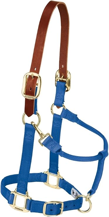 Weaver Equine Breakaway Horse Halter, Supple Leather Crown, Adjustable Brass Throat Snap Halters for Horses, Equine Tack