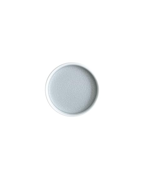 Yasutomo Japanese Watercolor Sumi-e Porcelain Pan, Silver, Round Watercolor Pan, WC216-60