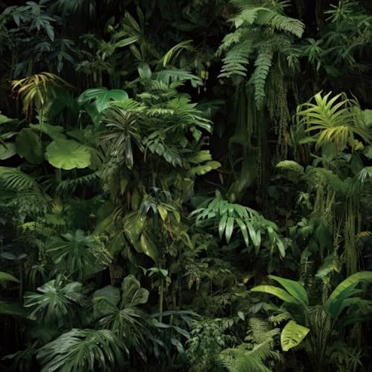 FunStick Dark Green Tropical Wallpaper Peel and Stick Jungle Leaf Wallpaper for Bedroom Bathroom Kids Room Removable Black Green Tropical Contact Paper for Wall Murals Cabinets Waterproof 17.5x118