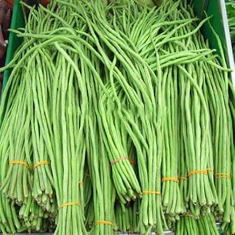 100pcs Green Long Beans Vegetable Seeds
