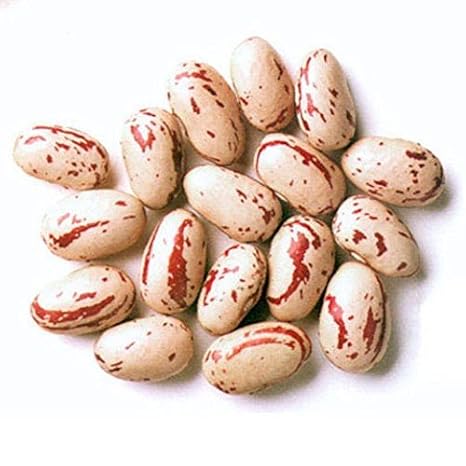Rosecoco-Bohnen (Wachtelbohnen) - 1 kg