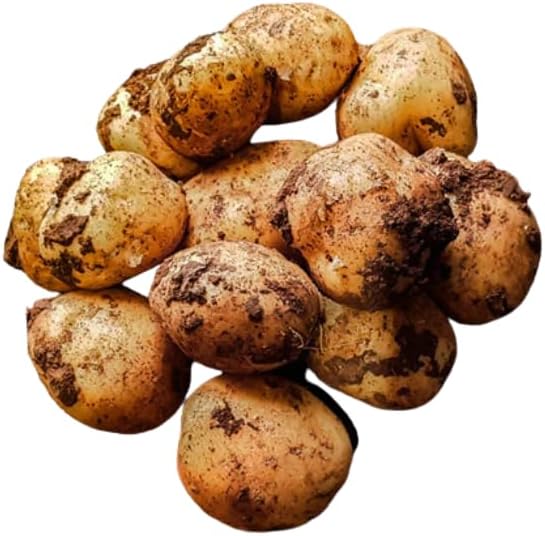 Cyprus Potatoes || 2KG || PFG4U ||£12.99 ||