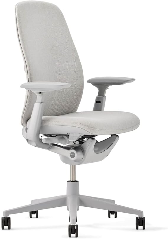 Haworth Zody Ergonomic Office Chair, Home Office Desk Chair, Fog