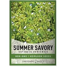 Gardeners Basics Summer Savory Seeds for Planting is A Heirloom, Non-GMO Herb Variety, Satureja Hortensis Herb Seeds Great for Indoor, Outdoor, Hydroponic Gardening
