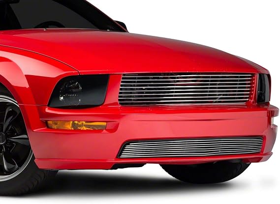 Lower Grille; Polished Compatible with 05-09 Mustang GT