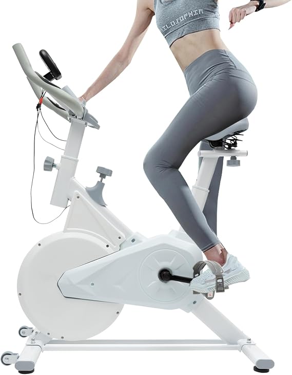 Exercise Bike for Home Use, Indoor Cycling Stationary Bike with Silent Belt Drive & 176lbs Capacity - Adjustable Seat/Handlebars with LCD Monitor for Cardio Workouts