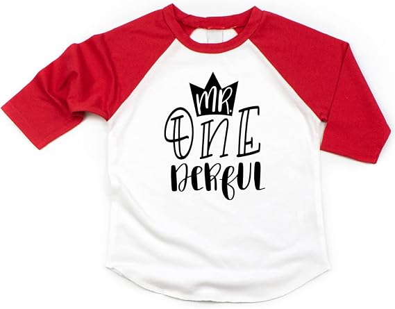 Boy First Birthday Shirt 1st Birthday Boy Outfit Mr. One-Derful