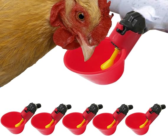 6pcs Automatic Chicken Drinker Cups, Automatic Poultry Drinker Feeder, Water Drinking Cups for Livestock Chicken Hen Duck Bird, Red Plastic Backyard Water Feeder for Bird Quail Pigeon Chicken Hen