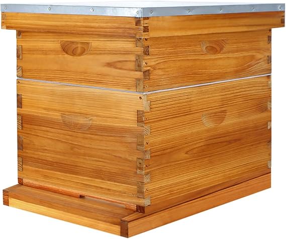 10 Frame Langstroth Beehive Kit Dipped in Heavy Beeswax Bee Hives with 1 Deep Bee Box and 1 Medium Bee Hive Box with Frame and Foundation(Unassembled)