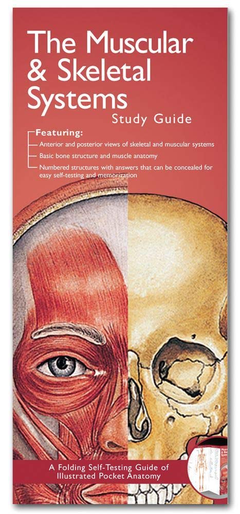 Anatomical Chart Company's Illustrated Pocket Anatomy: The Muscular & Skeletal Systems Study Guide Flexibound – September 20, 2007