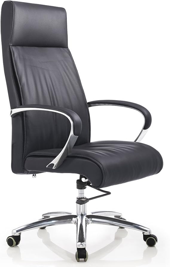 ZURI Modern Forbes Genuine Leather Aluminum Base High Back Executive Chair - Black