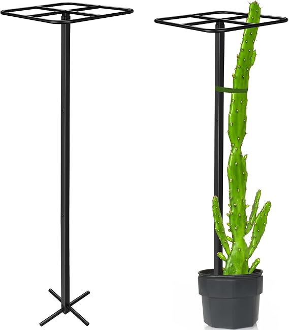 1 Pcs Heavy Duty Dragon Fruit Trellis 12"x12"x50", Adjustable Metal Dragon Plant Support Stand, Durable Vertical Trellis for Climbing Plants, No-Hammer Assembly for Outdoor Garden(Square)