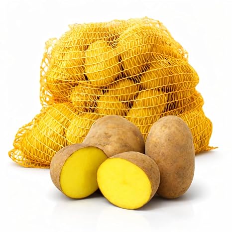 FRUCHTVERSAND24 Glorietta Food Potatoes 5 kg Very Firm Boiling & Yellow Fleshy Ideal for Baking and Roasted Potatoes Potato Salad Fine and